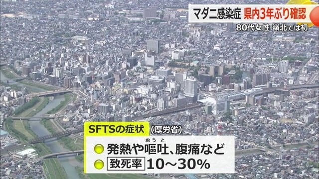 SFTSの主な症状