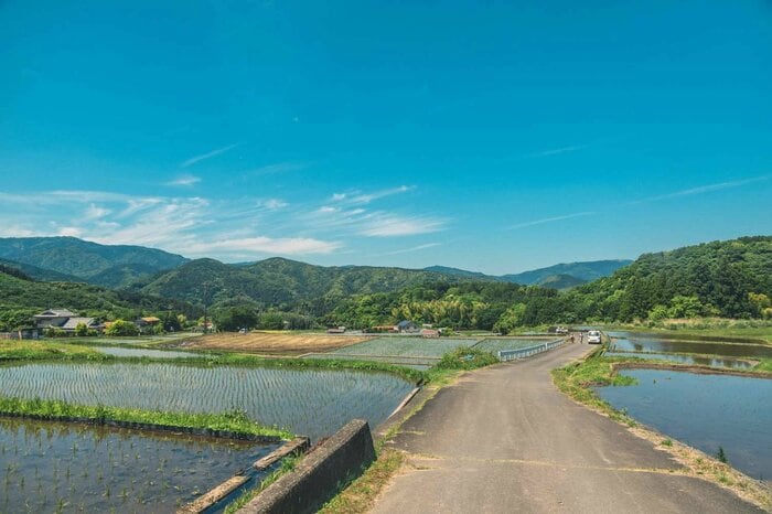 静岡県荒原（あれはら）の棚田（2024年5月撮影）
