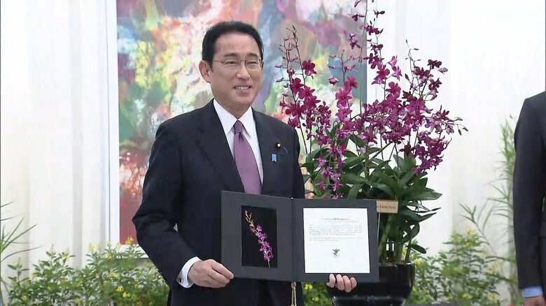 歴代首相初“キシダ”の蘭命名　岸田首相、訪問先のシンガポールで｜FNNプライムオンライン