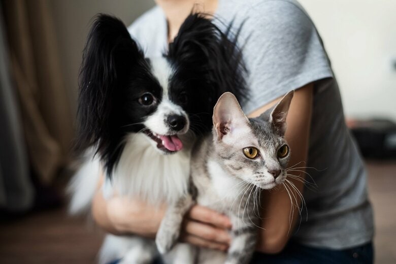 災害時にペットはどう守る？「同行避難」のすすめ…まずは訓練に参加を　飼い主は2週間分のフードと水などの用意も｜FNNプライムオンライン