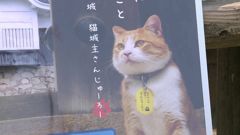 ネコ城主・さんじゅーろー「海にゃん(難)事故ゼロ」を呼びかけ　海上保安部とコラボのポスター完成【岡山発】｜FNNプライムオンライン