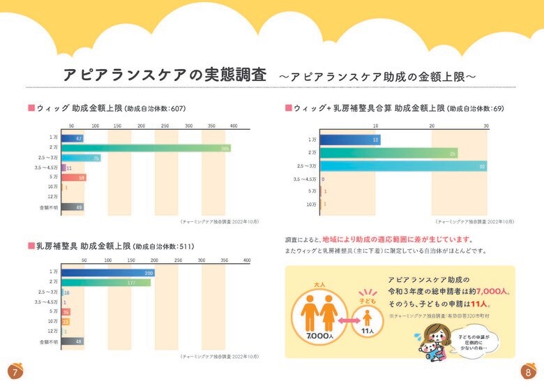 アピアランスケア支援事業実態調査(2024年度版)公開