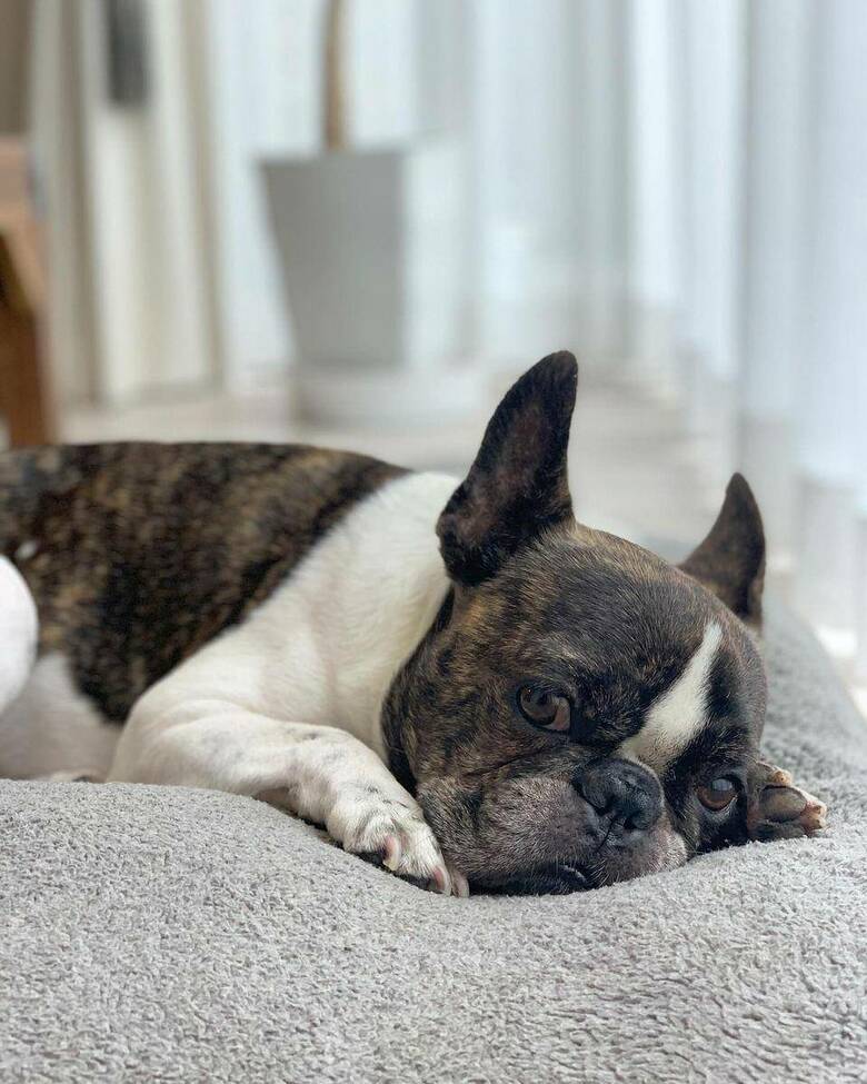 提供：丸男さん