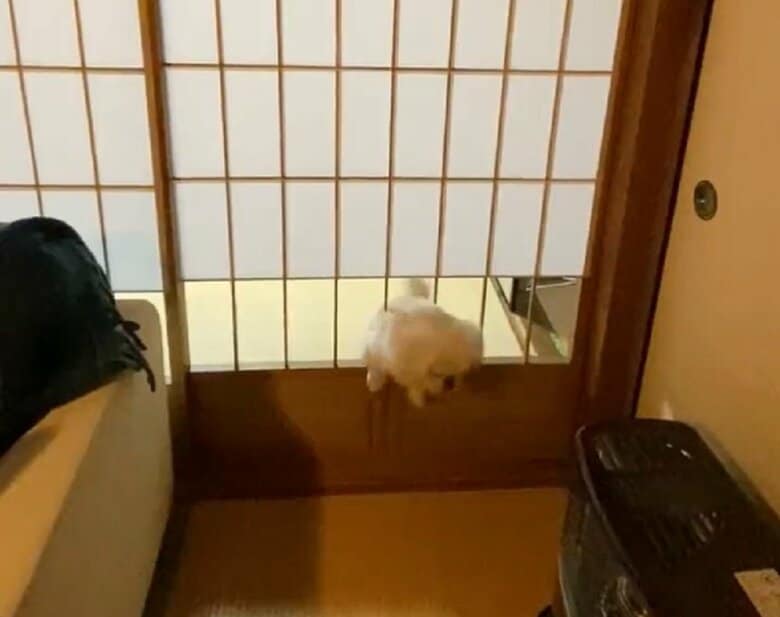 よいしょー