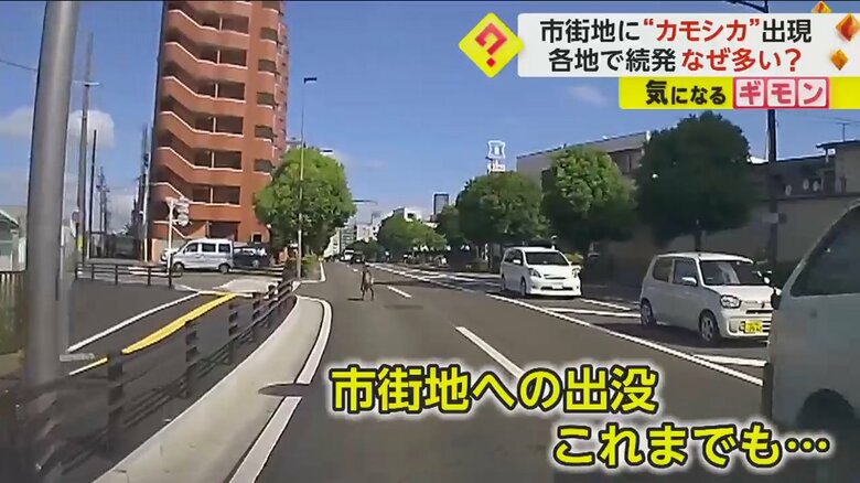 （FNN投稿サイト「ビデオPost」）