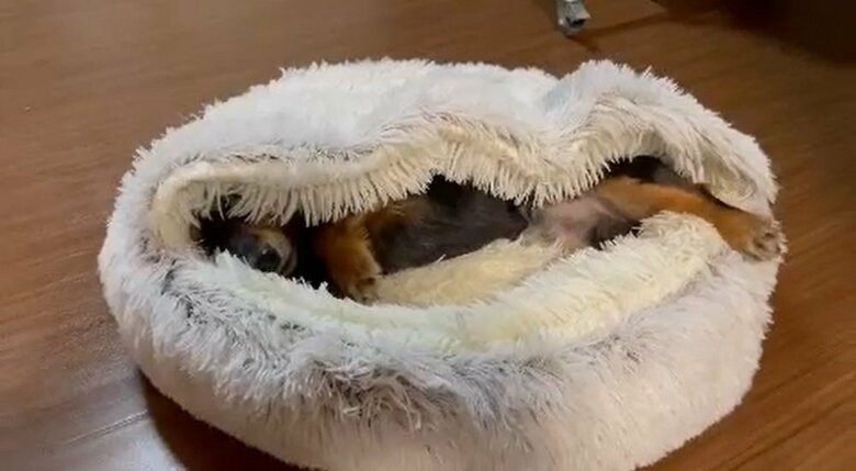 ベッドに埋もれている