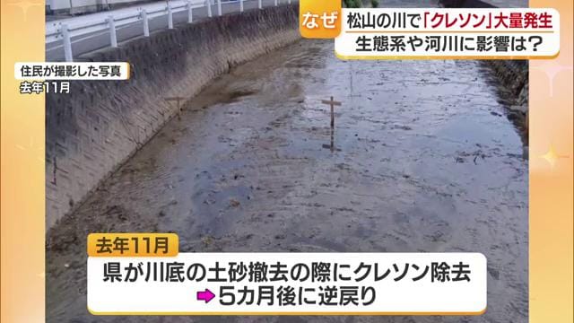 ５カ月前にクレソンも一緒に除去したが…