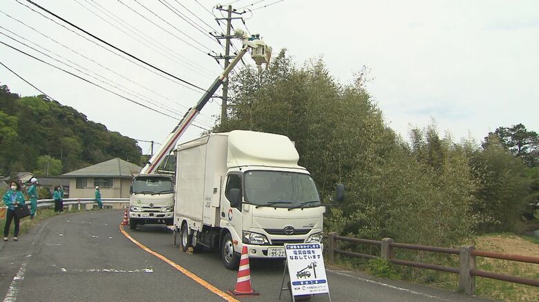 カラスの巣の撤去作業