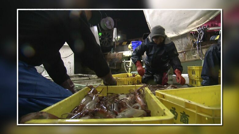 2024年の水揚げは過去2番目の低さ