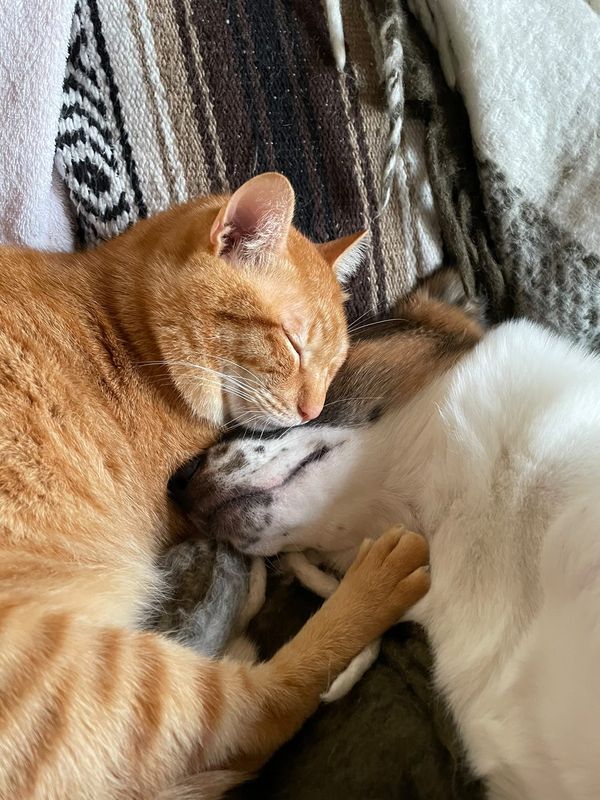 提供：naomiさん