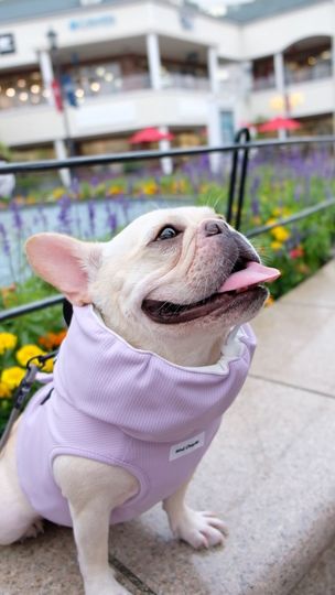 提供：むぎさん