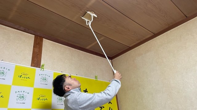 天井にいるカメムシも捕獲可能（提供：浜村拓志さん）