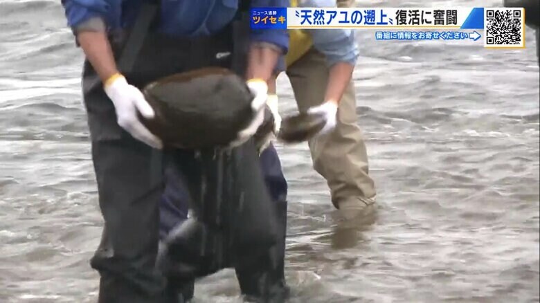 水の中から大きな石を一つひとつ取り除く