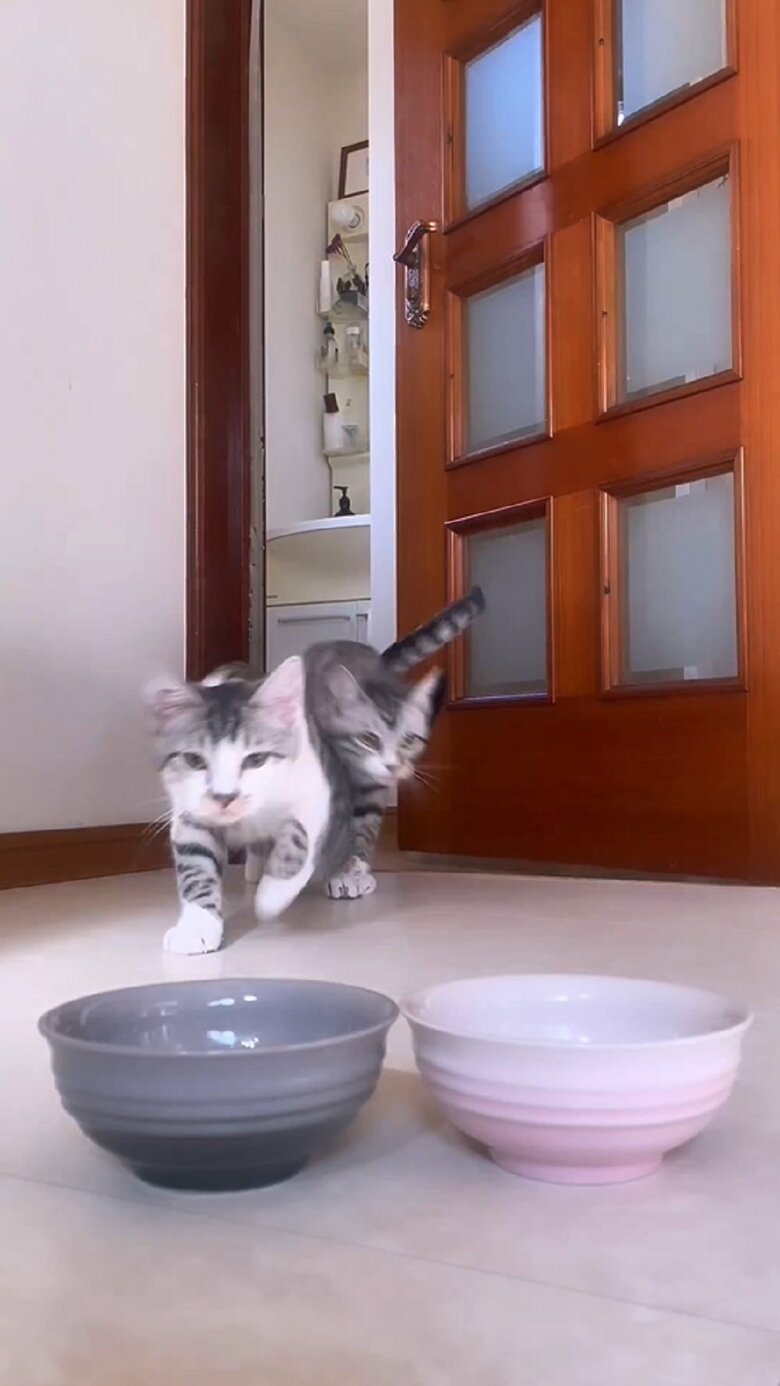 先に駆け込んでくるのは詩葉くん