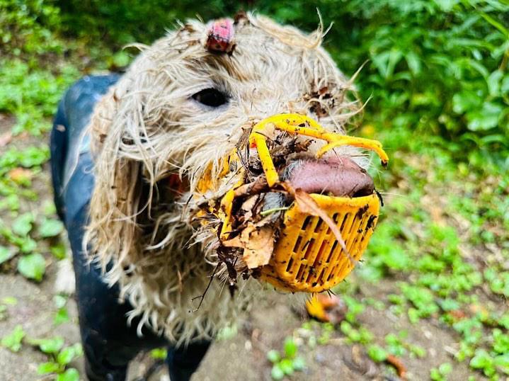 夏の泥遊び（提供：hair.axis）