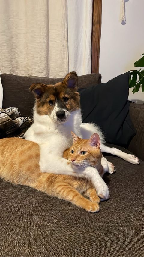 提供：naomiさん