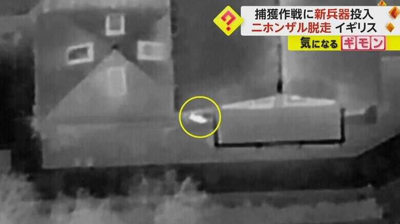 赤外線カメラでサルを発見