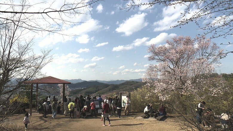 頂上からの眺めも絶景