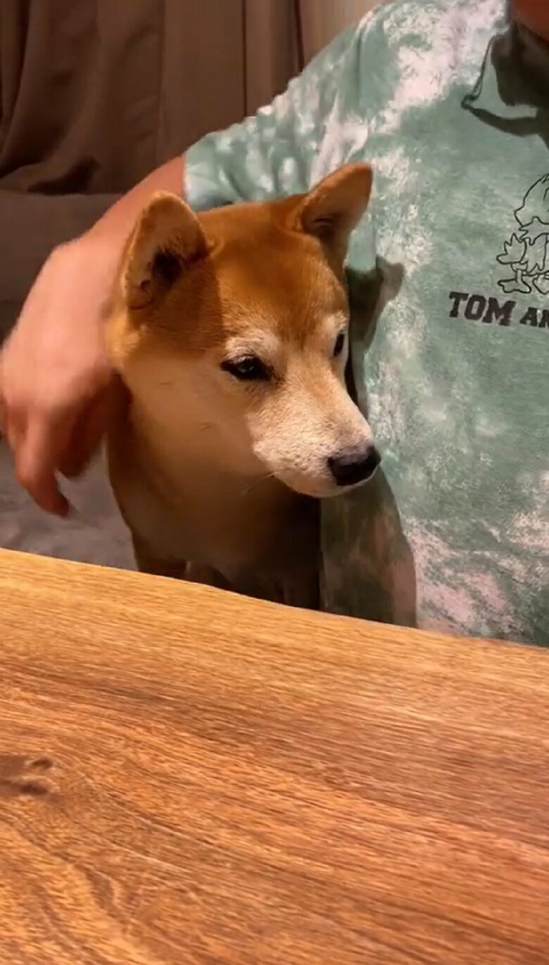 飼い主さんから「もう一回」との要望