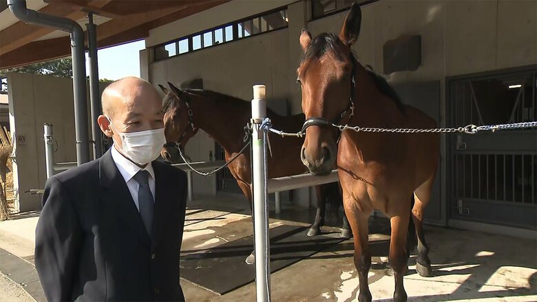 取材に応じる、守谷勝己・宮内庁車馬課主馬班車馬官（8日）