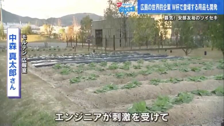 モルテン新本社の敷地内にある野菜畑