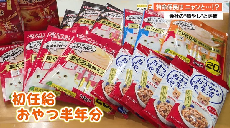 「トラ」の初任給はまさかのおやつ半年分！