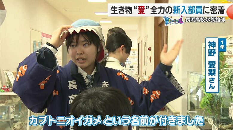 カブトニオイガメという名前