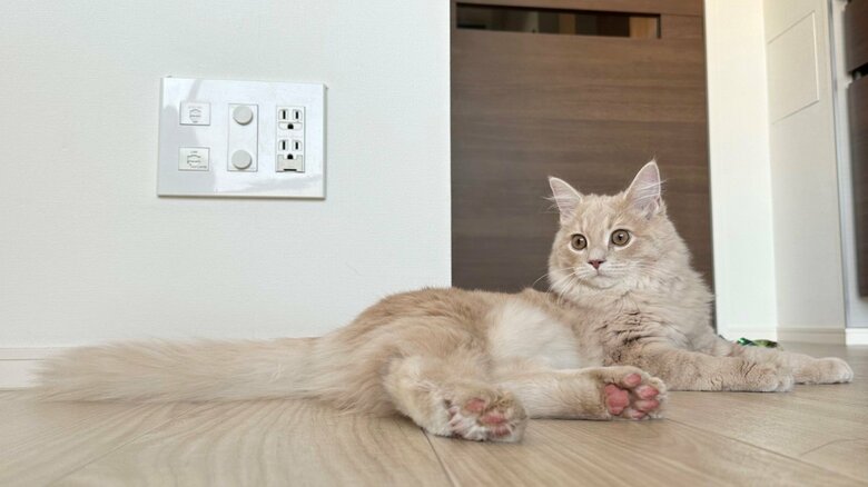 部屋でまったりな様子