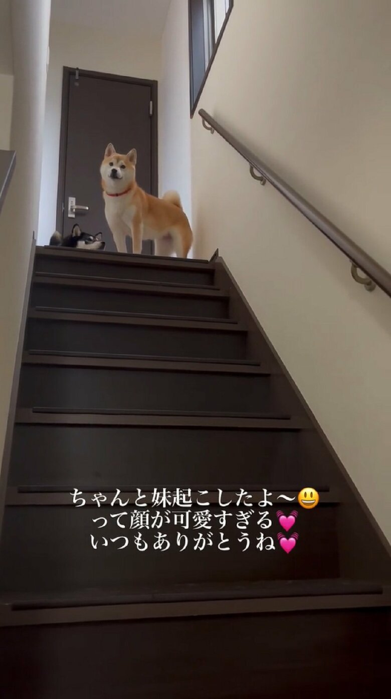 マイペースな小豆ちゃんはのびーとしている