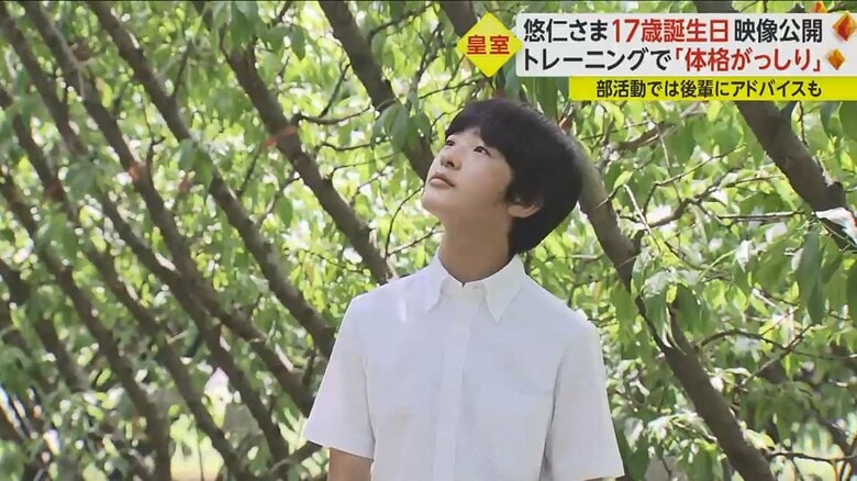 9月6日に17歳の誕生日を迎えられた悠仁さま