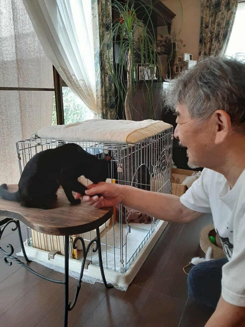 握手･･･からのがぶり