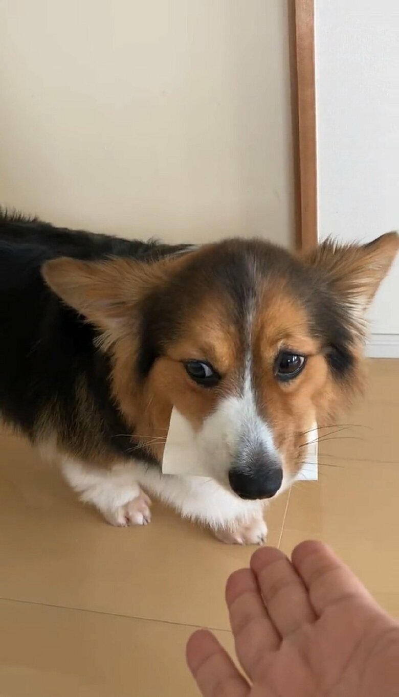 左右にキョロキョロと視線が泳ぐ