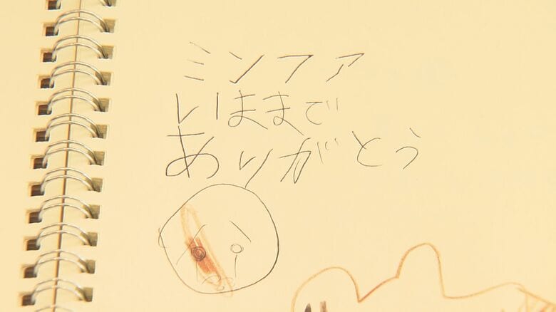 ファンから寄せられたメッセージ