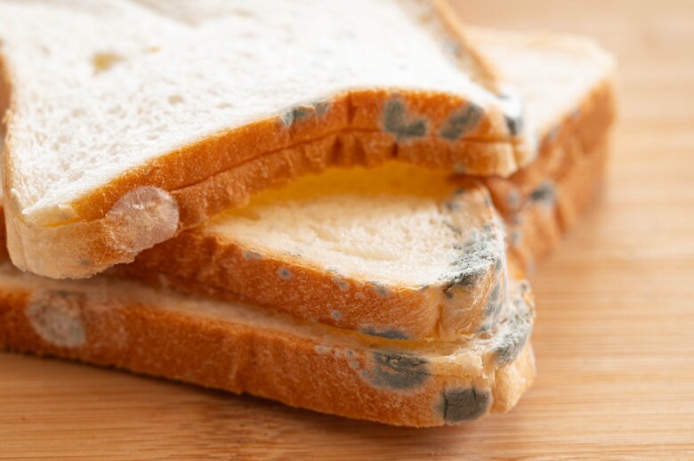 食パンはカビが生えやすい（画像はイメージ）