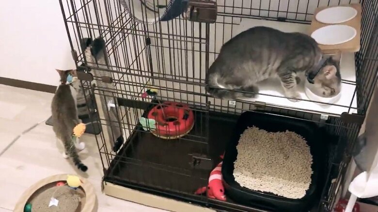 水を飲むタイミングも同じだったりする