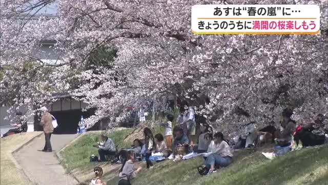 明日の瀬戸内は雨が降る予報…満開の桜に貴重な青空の下　岡山さくらカーニバルは花見客でにぎわう【岡山】