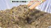 邪魔な海藻がスーパーフードとして注目　知ってます？静岡産「ア…