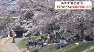 明日の瀬戸内は雨が降る予報…満開の桜に貴重な青空の下　岡山さくらカーニバルは花見客でにぎわう【岡山】