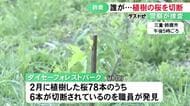 今年2月に植えられたばかり…公園で桜の木6本が切断される被害 鋭利な物を使って犯行か