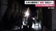 大洲市の養豚場で「豚熱」感染確認　ワクチン未接種など約１５００～２０００頭を殺処分へ【愛媛】