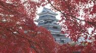 松本城で紅葉が見ごろ　秋の風情を楽しむ　長野・松本市
