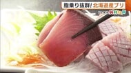 脂のり抜群!北海道産“ブリ”の水揚げ始まる 刺身はもちろん寒い時期にうれしい“ブリ大根”や“しゃぶしゃぶ”も◎