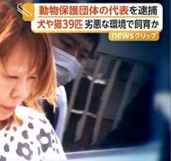30匹以上の死骸放置…犬や猫39匹に虐待の疑いで動物愛護団体代表の女逮捕　70匹飼っていた時期も…多頭飼育崩壊か　東京・品川区