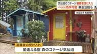 気仙沼市のコテージが岩手県大槌町の山林火災の避難者の受け入れ始める　ペット宿泊可能　募金活動も