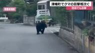 石川県津幡町でクマ目撃が1日4件 野山団地周辺でパトロール実施も発見できず