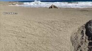 動く“砂浜”の正体は軽石 どこから? はるか遠く...