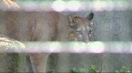 盛岡市動物公園 にぎわう 今シーズン初の休日【岩手県】