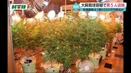 末端価格 1億6000万円相当 大麻草を大量に栽培した男ら5人送検【長崎県】