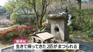 鹿児島市の猫神社で猫の健康と長寿願う祈願祭