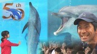 美ら海水族館のスター・オキちゃんとムク　50年の軌跡